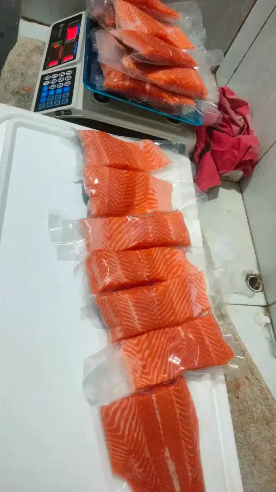 Jual Fresh salmon Trout