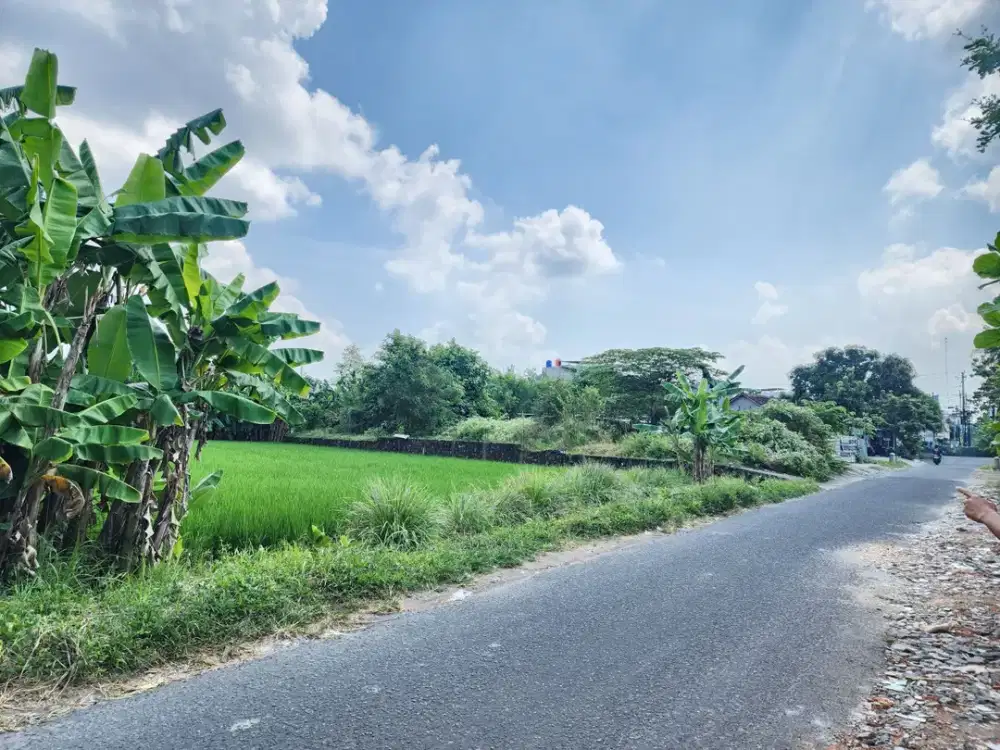 DIjual Cepat! Tanah Murah 2 Menit ke Stadion Maguwoharjo
