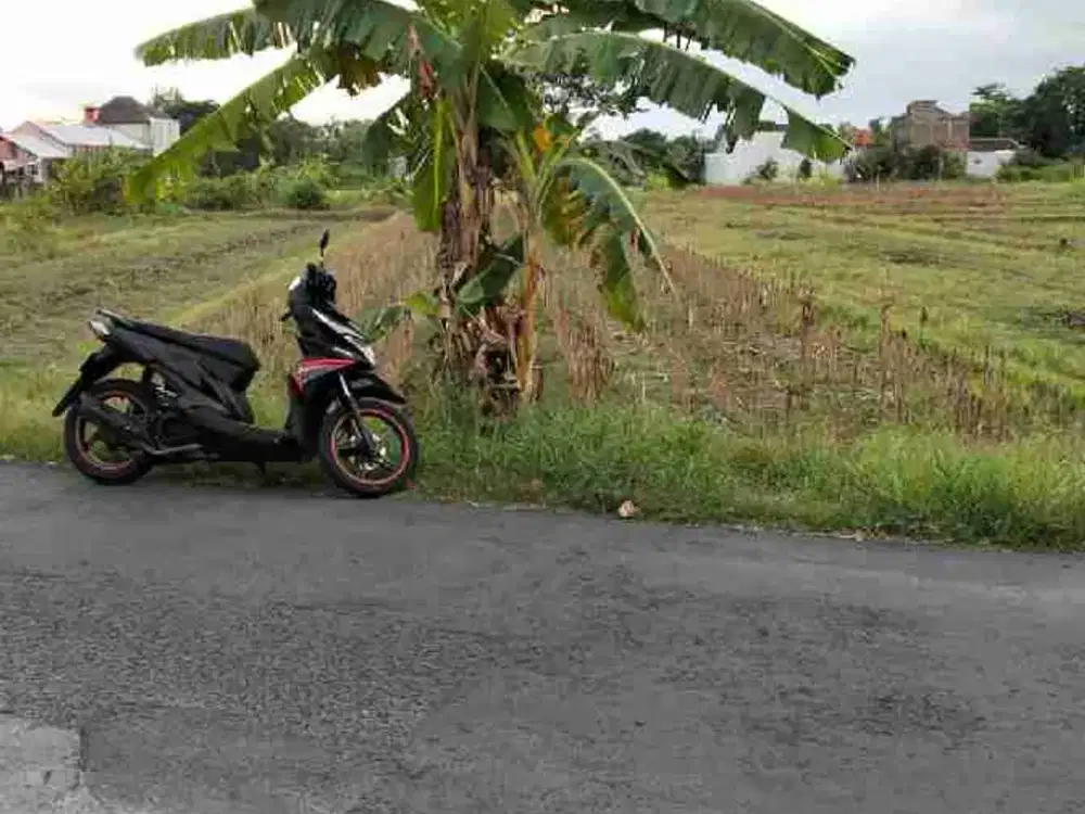 Jual Murah Tanah di Tamanan Banguntapan Bantul Yogyakarta