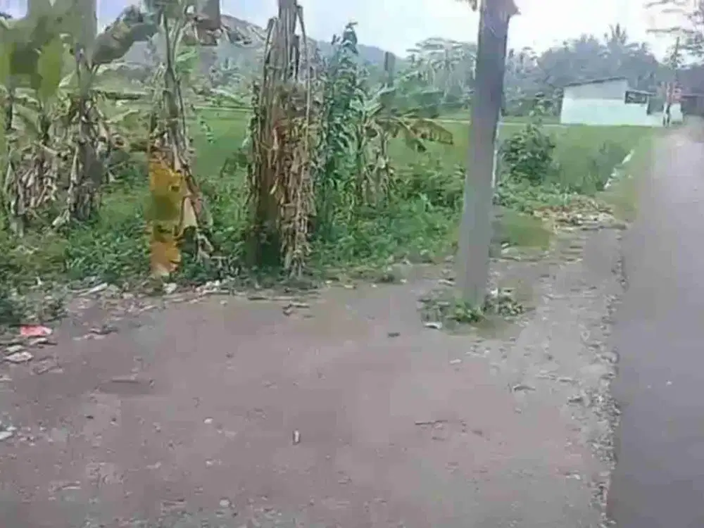 Kebun 700 m2 Jalan cagak Subang