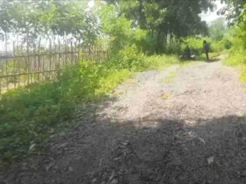 kebun 12.000 m2 90 ribu per meter Dawuan Subang