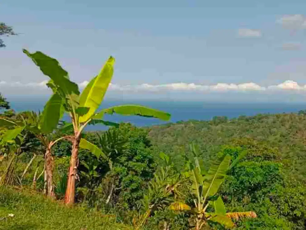 bisa bayar dua tahun tanah di batu layar senggigi