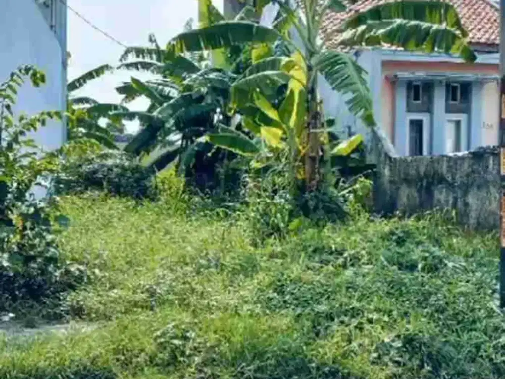 Tanah murah jakapurwa ciwastra