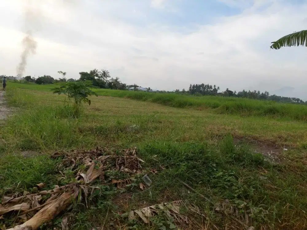 Tanah Potensial untuk Kavling Villa atau Villa Pribadi