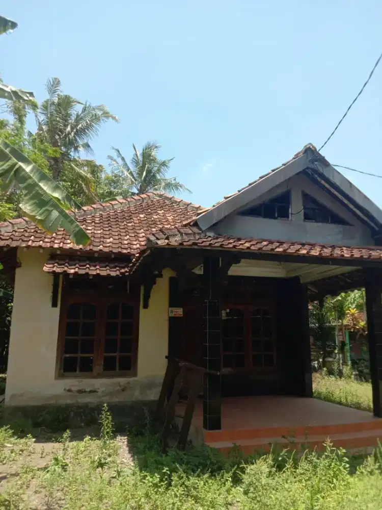 Rumah murah tanah luas di Penen Sardonoharjo jl Kaliurang km 12