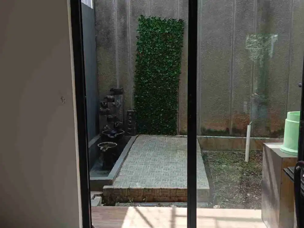 cluster the Acardia bintaro