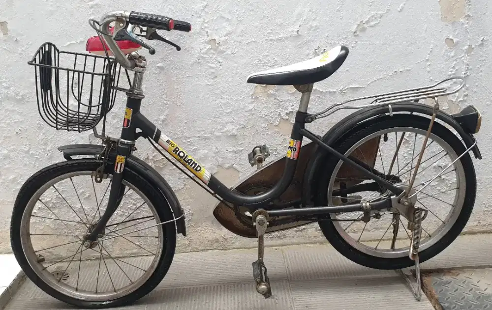 Sepeda Big Roland