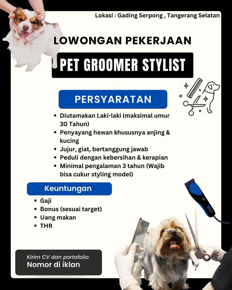 Lowongan Pekerjaan Pet Groomer Styling