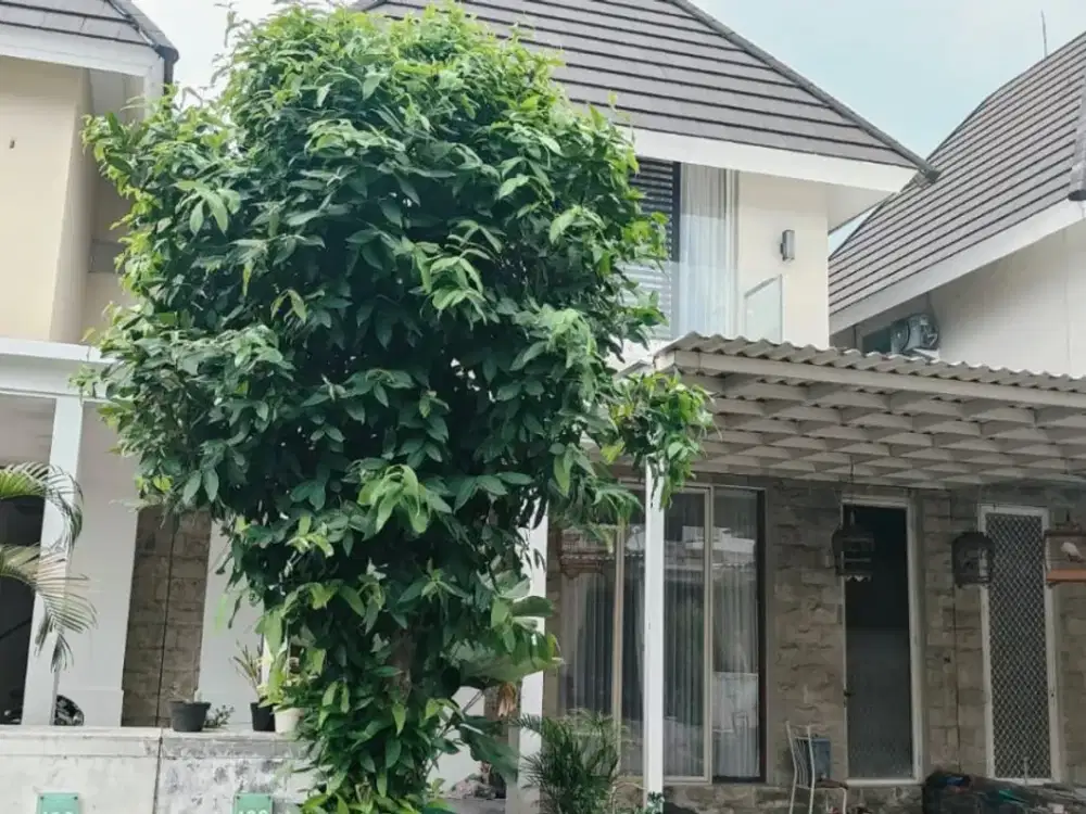 Disewakan Rumah Graha Tirta Calista Waru Sidoarjo SIU.A278
