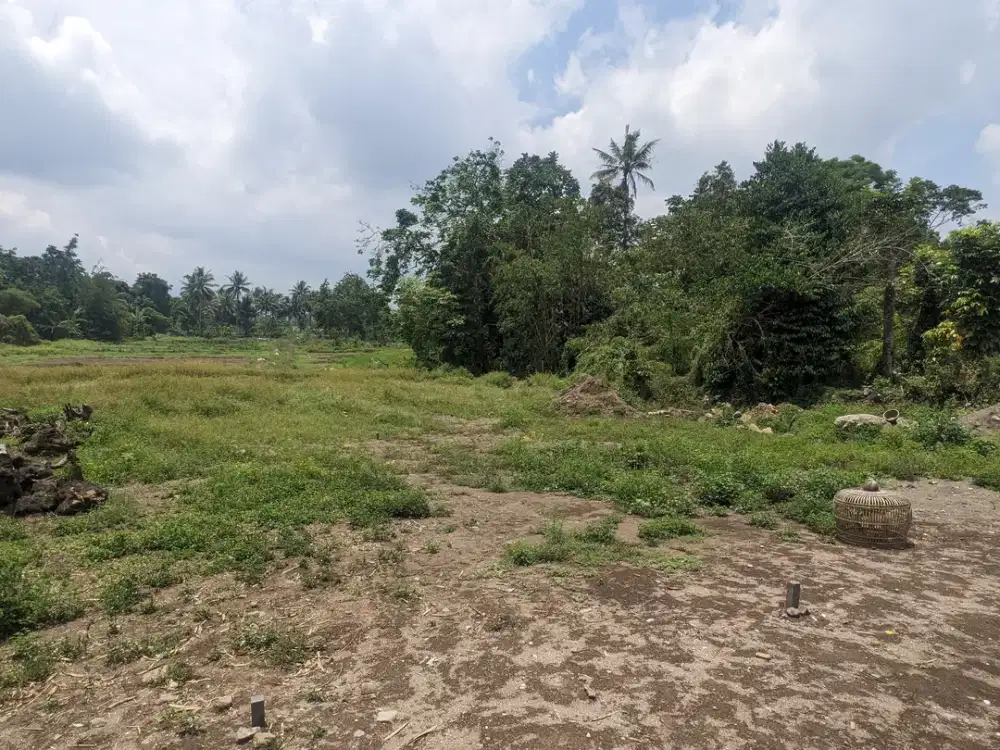 Nego, Tanah 1 Jutaan View Merapi Bisa Dicicil