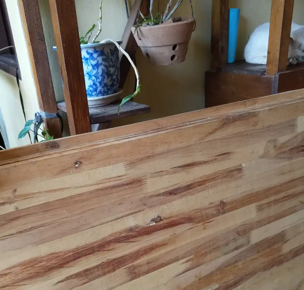 HANYA BAGI YG PAHAM TENTANG PERKAYUAN YA