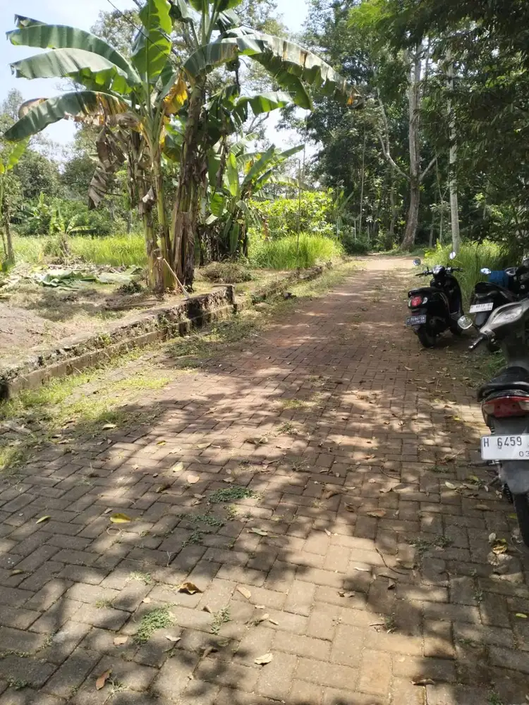 Tanah Murah dekat fatimah zahra gunung pati semarang