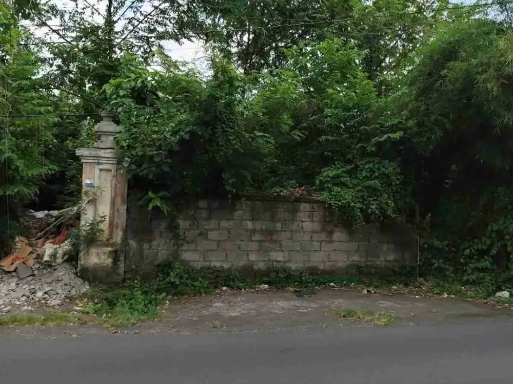 DIJUAL TANAH PINGGIR JALAN CANGGU UTARA