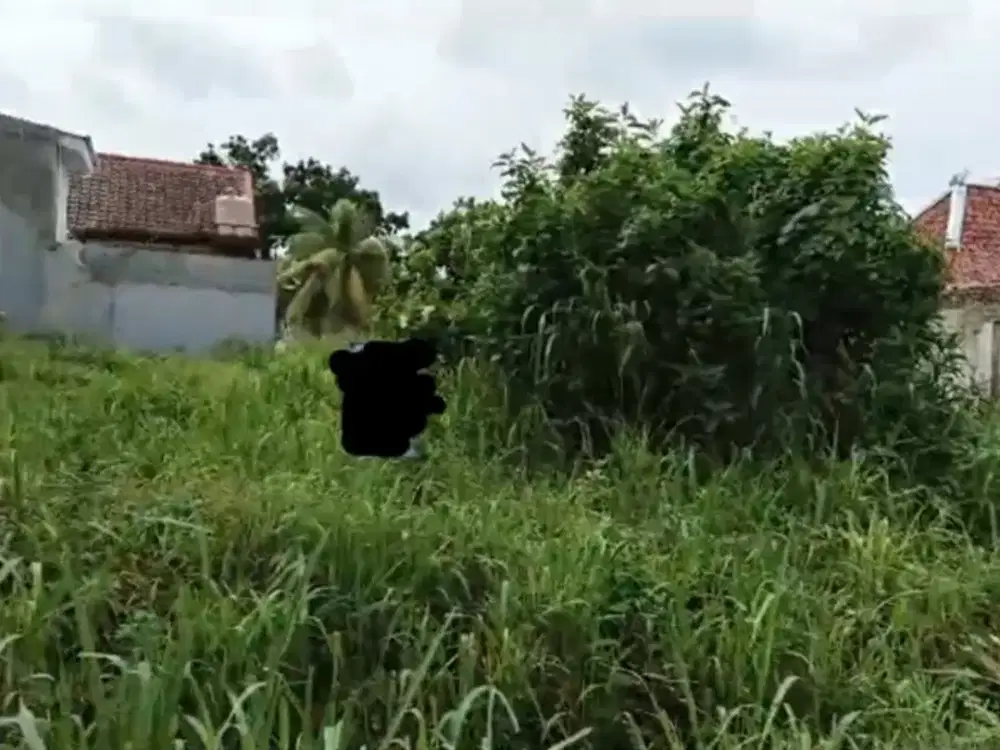 Dijual Murah Kavling Strategis Jalan Raya Melati Mas