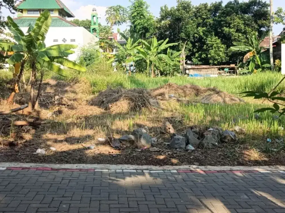 Dijual Tanah di Siroto Pudak Payung Banyumanik Semarang