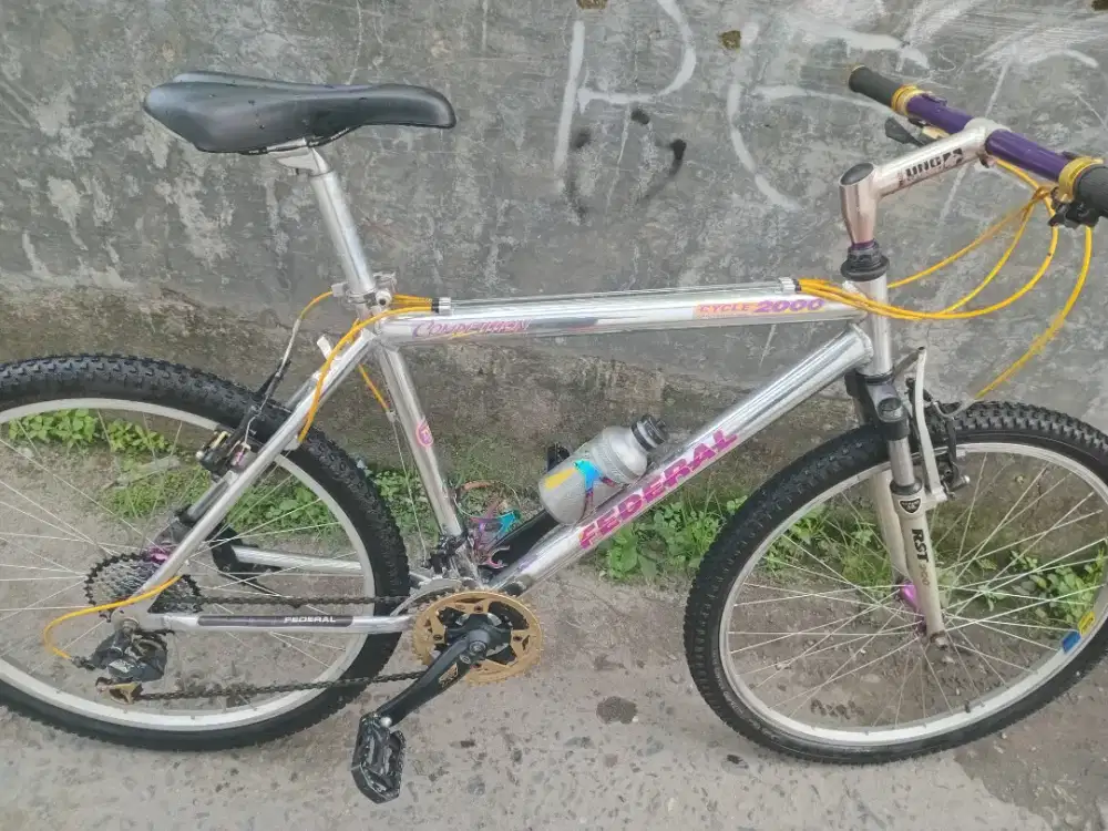 Sepeda competition size 19