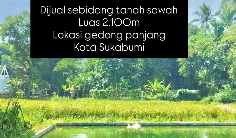 Dijual TANAH SUBUR TERMURAH KOTA SKBMI. NEGO SAMPAI DEAL