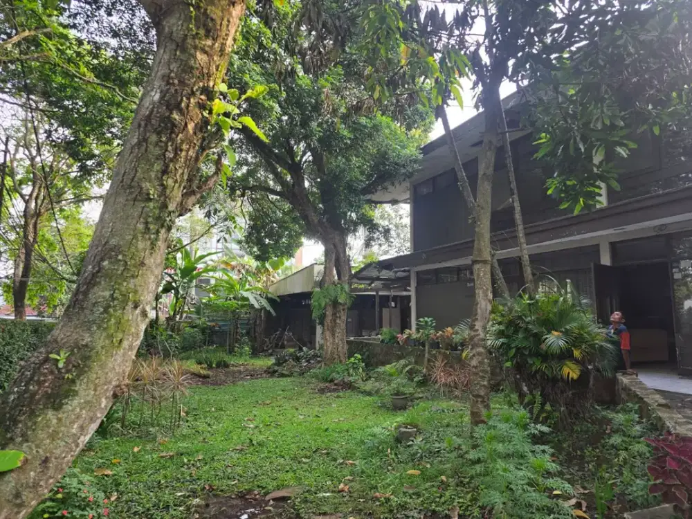 Murah jarang ada! Rumah hitung tanah 825 m2 di karang layung sayap sukajadi Bandung