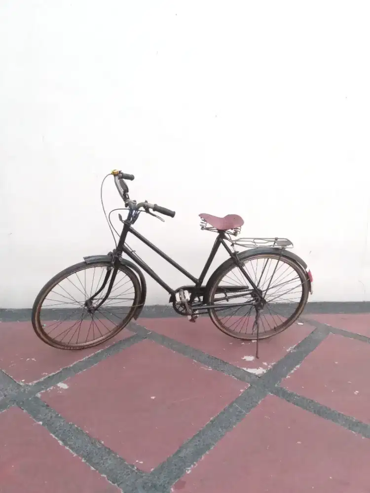 Sepeda Raleigh Lady Bike Vintage