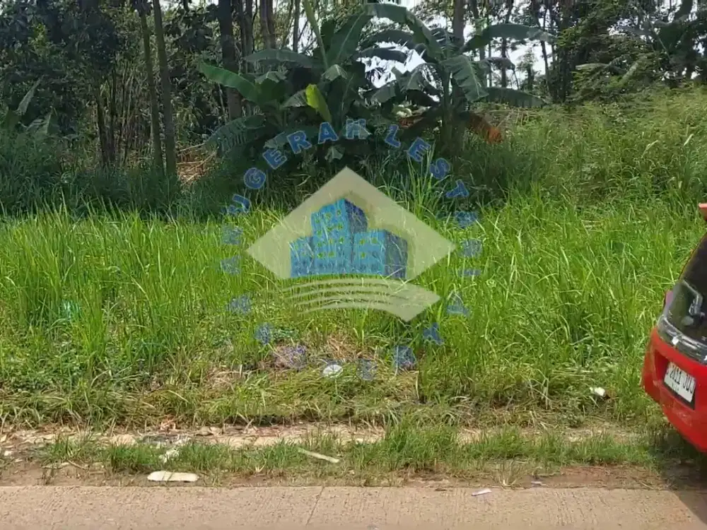Tanah Dekat BSD di Jalan Cicalengka, Pagedangan - Tangerang, Banten.