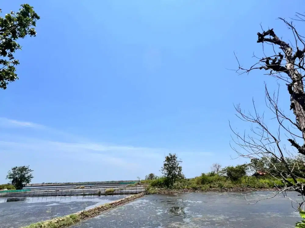 Dijual Tanah Luas Lokasi Kawasan Industri Jl. Wonosari Kendal