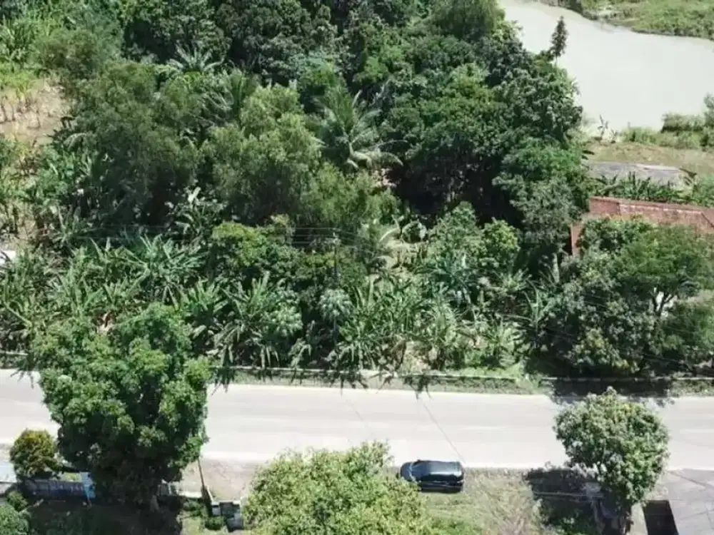 Dijual Tanah Di Citeras, Di Jalan Raya Rangkas Bitung - Lebak, Banten