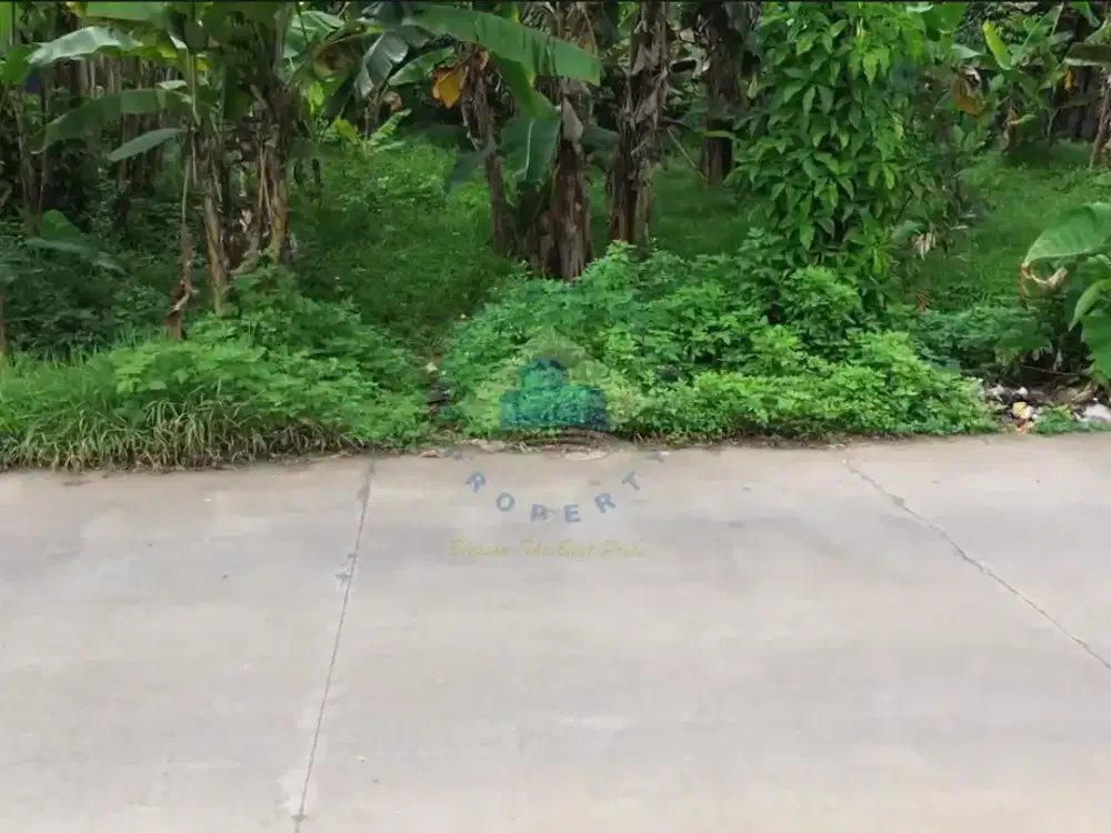 Dijual Tanah di Dangdang, Cisauk - Tangerang