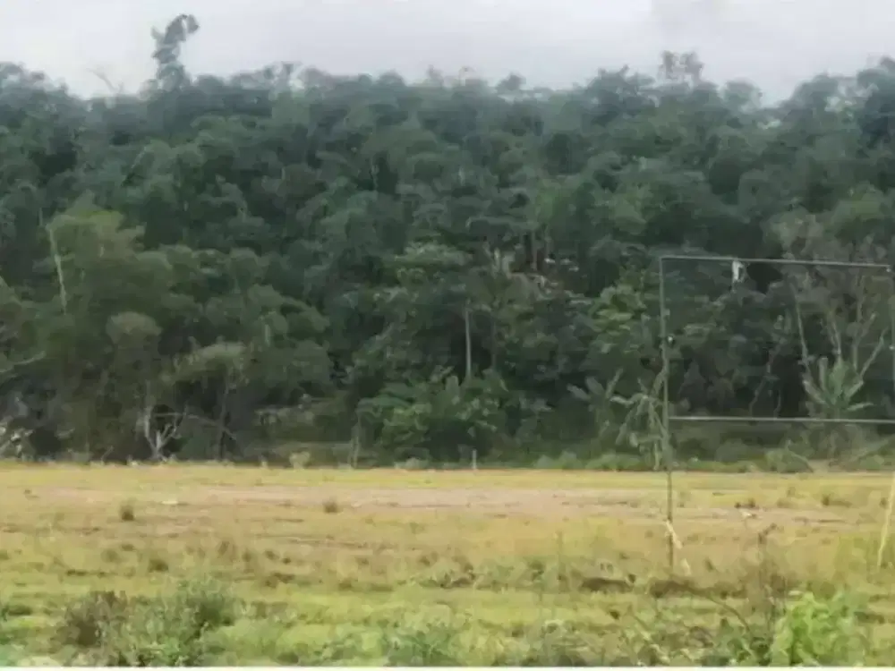 Dijual Tanah dikawasan industri Millenium Tigaraksa - Tangerang