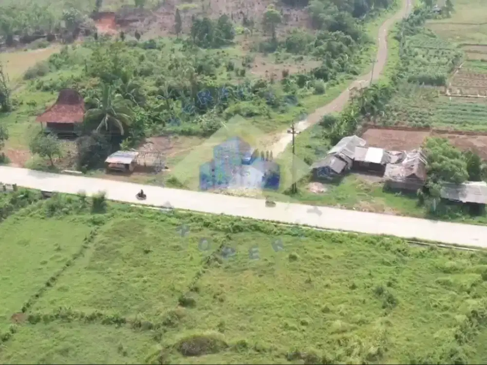 Dijual Tanah di Jalan Raya Letnan Sayuti, Cikopomayak - Jasinga, Bogor