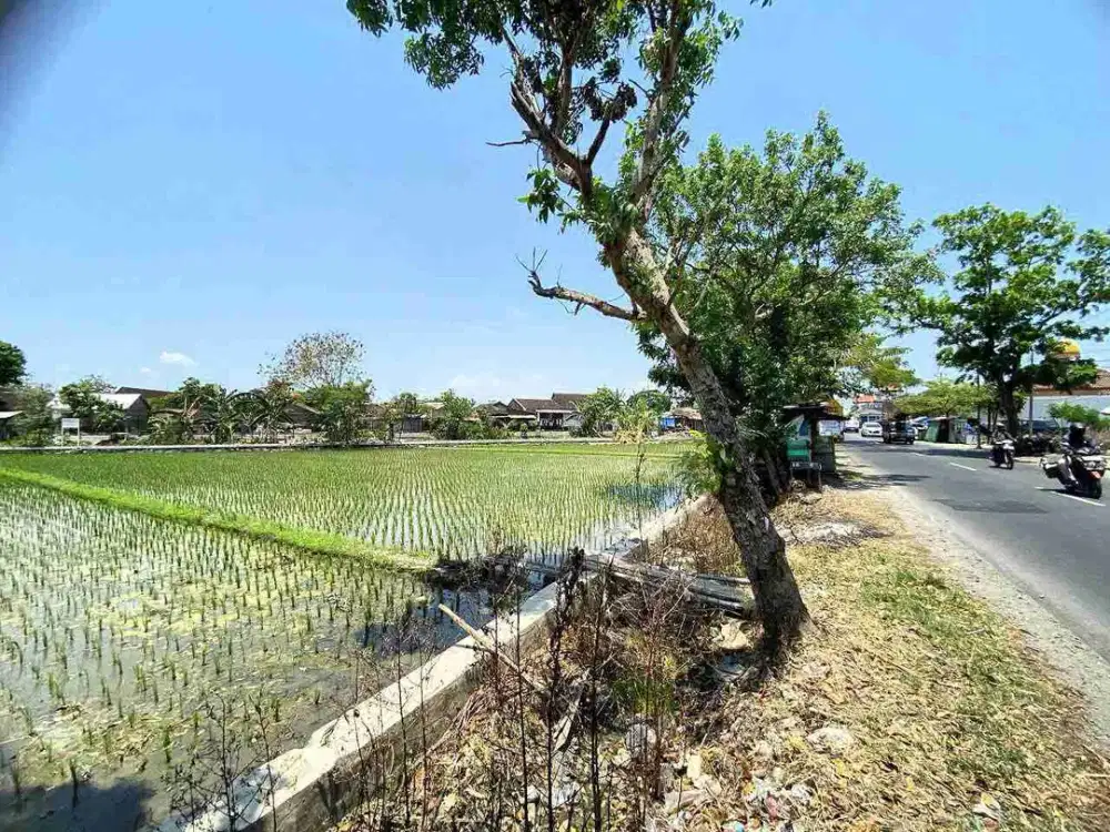 Tanah Sawah Luas 5422m² Pinggir Jln Raya di Sukoharjo