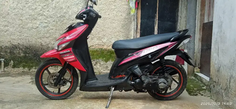 Vario cw 110 si gesit