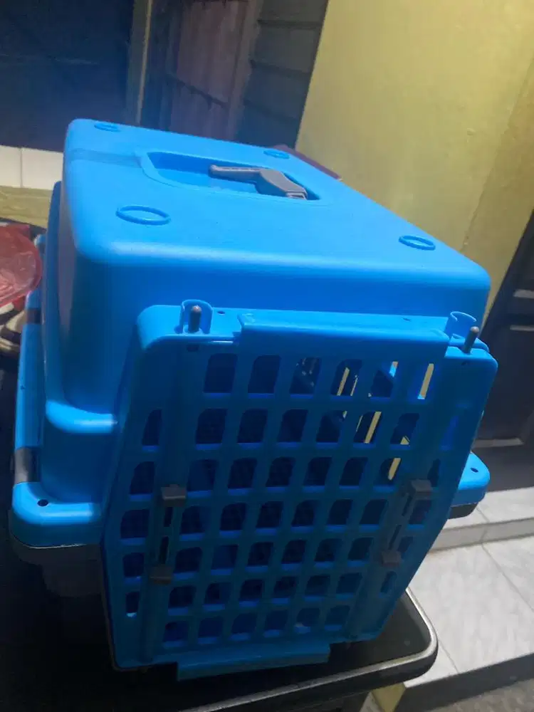 Kandang travel kucing warna biru Size L