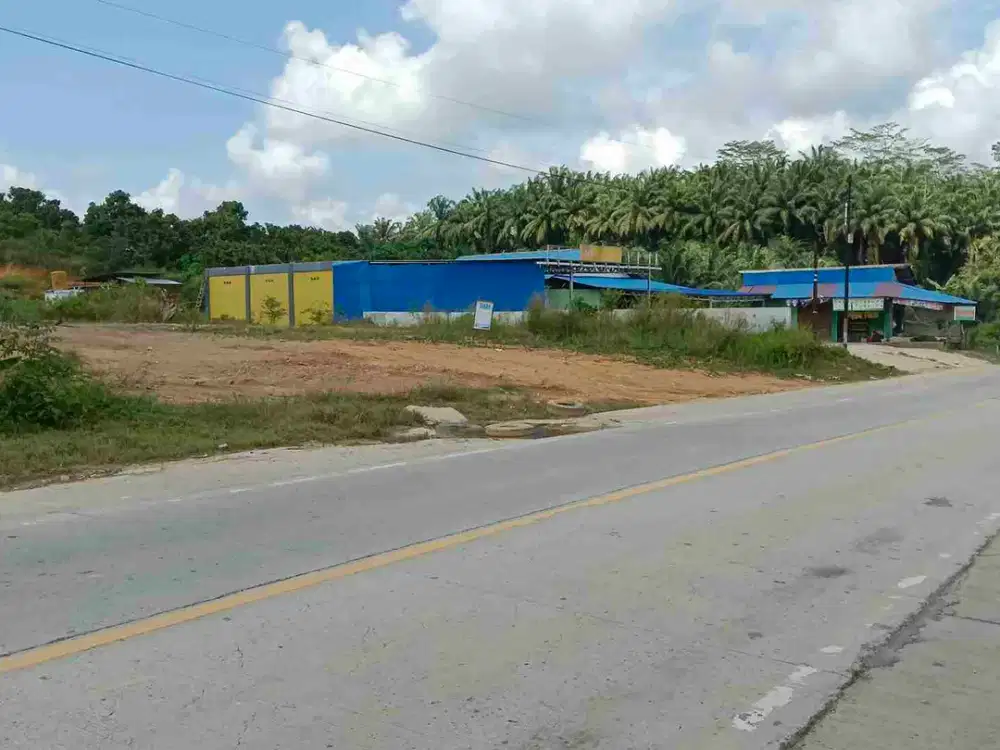 bismillah Dijual Tanah Termurah IKN 1 Ha, hanya 25 menit menuju Istana