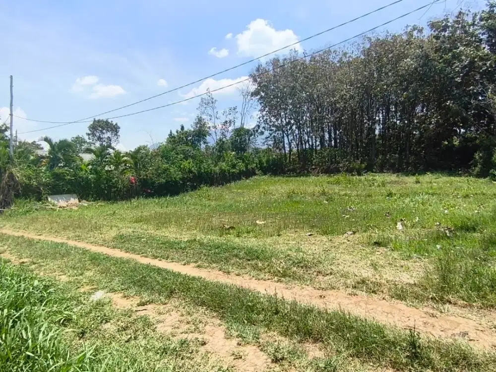 Tanah Potensial Rukost Mahasiswa Dekat Kampus UIN 3 Malang