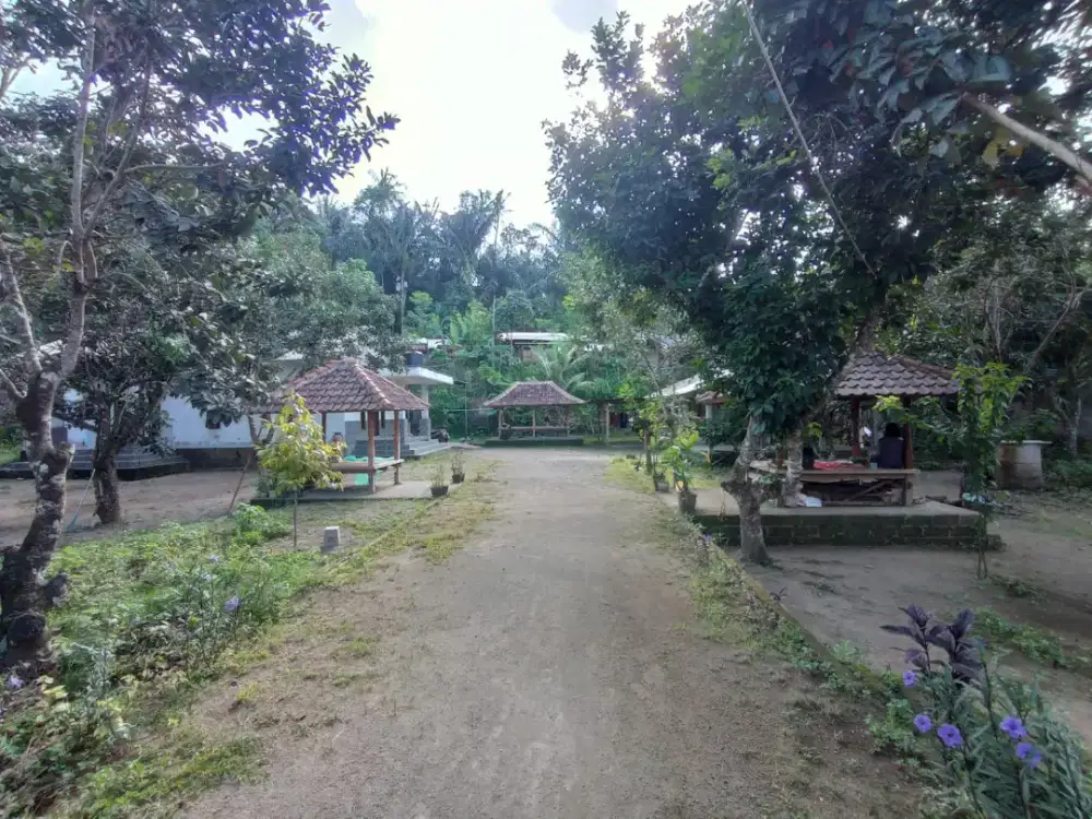 Di jual tanah dan rumah
