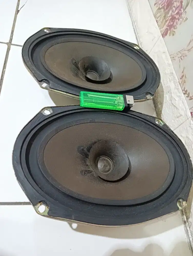 Speaker Oval size 9x6 inch