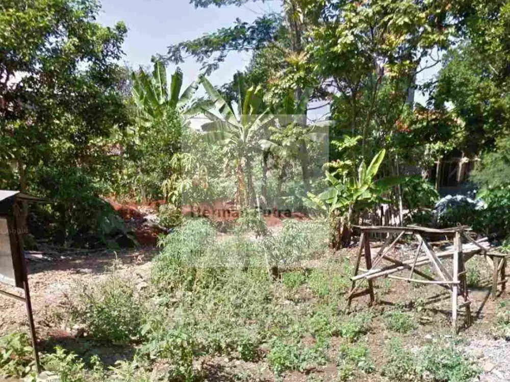 Tanah Tembalang Bulusan Undip