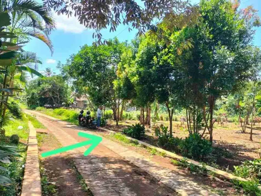 DIJUAL TANAH METESEH BOJA, KENDAL. COCOK UNTUK PERUMAHAN CLUSTER