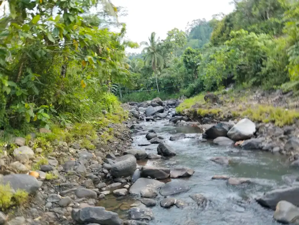 Di Jual Tanah Datar Nempel Sungai Akses Mobil dekat Daerah Wisata