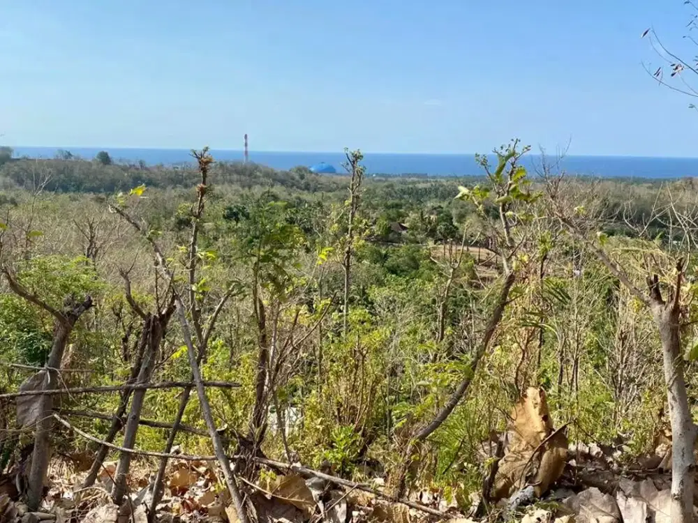 Dijual Tanah 225 Are Gerokgak Buleleng Singaraja Bali Dekat Seririt Busungbiu Pupuan
