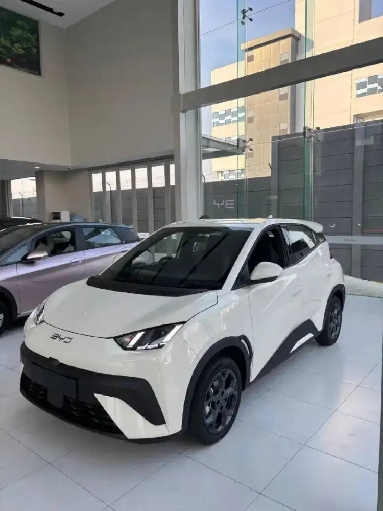 MOBIL EV VIRAL BYD ATTO 1