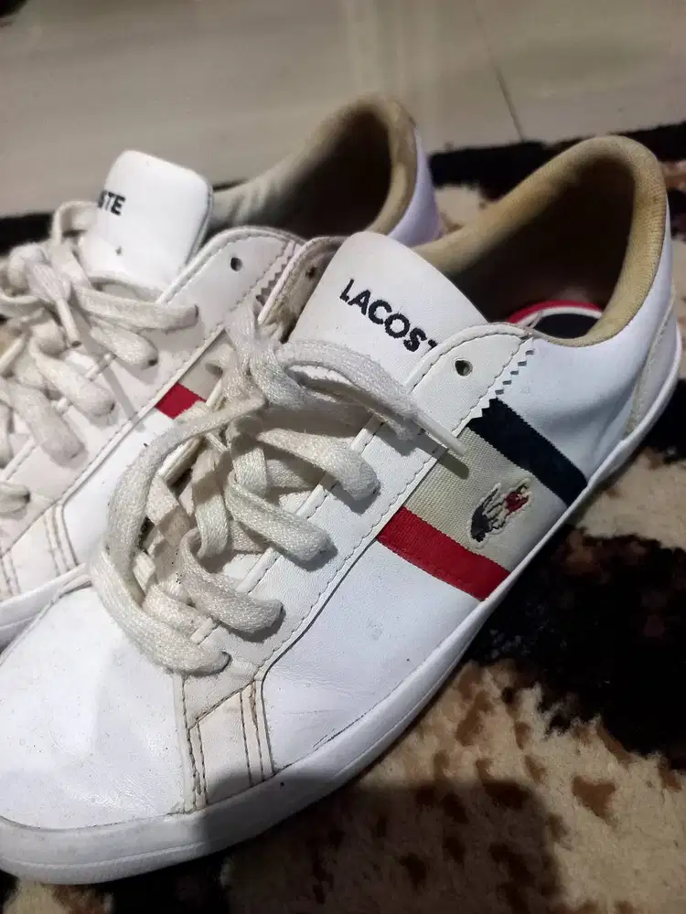 Sepatu Lacoste Istimewa