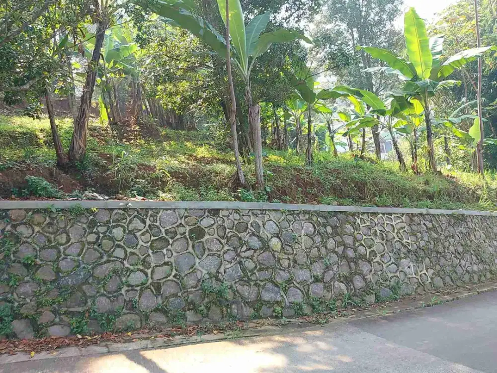 dijual tanah murah di Bongkor melatiwangi Cilengkrang