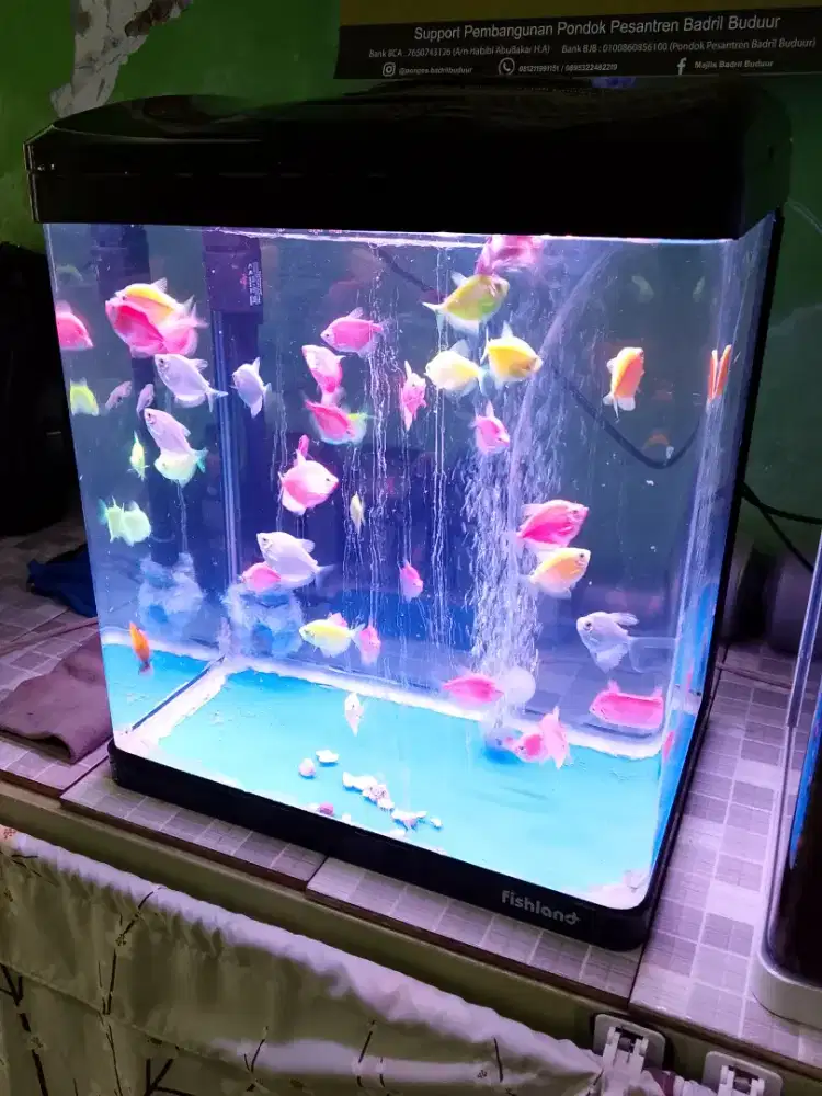 Akuarium ikan fishland full set semuanya tinggal pajang aja