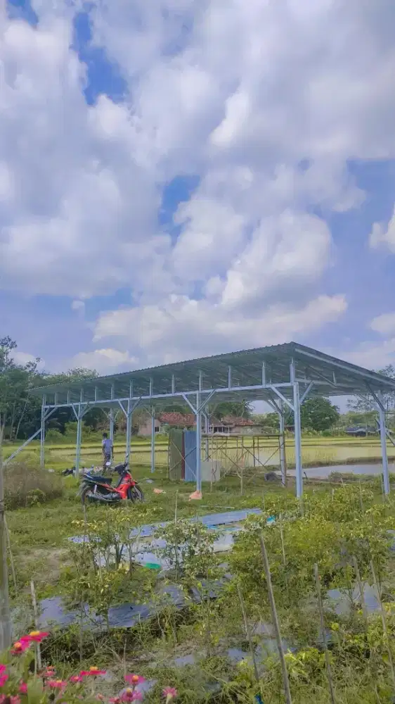 Kanopi baja ringan murah