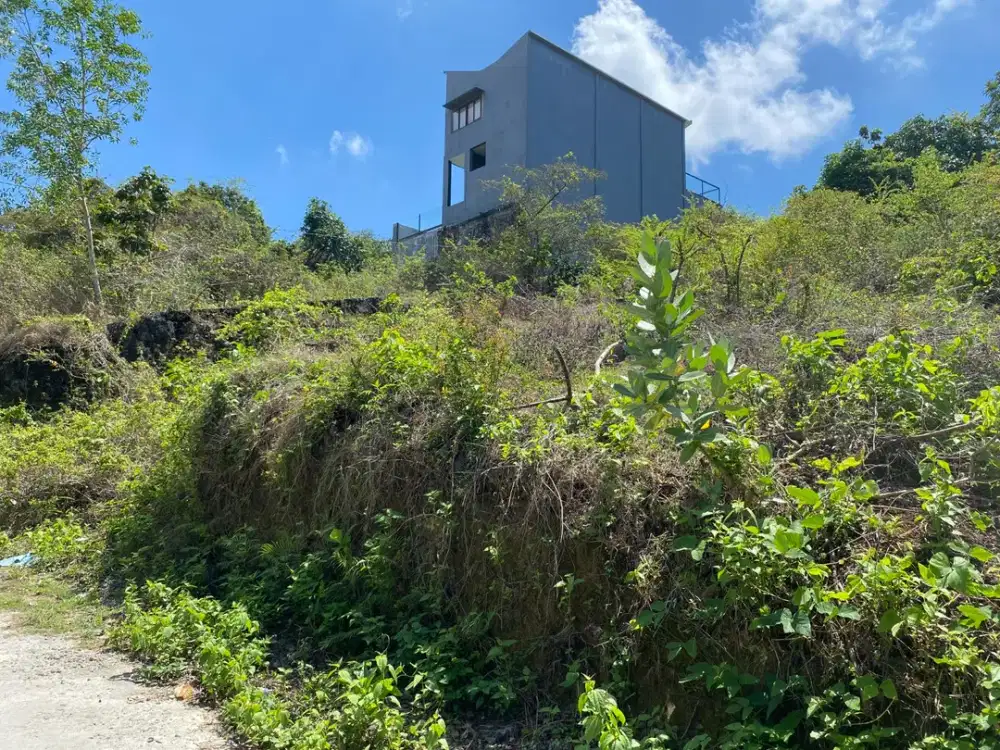 Disewakan Tanah 2 Are Jimbaran Kuta Bali Dekat GWK Nusa Dua Uluwatu