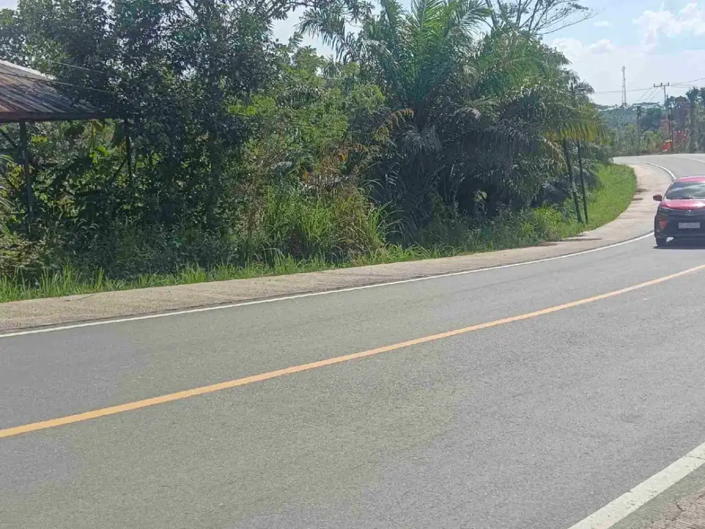 Bismillah Tanah Premium IKN Pinggir jalan Raya SHM, 5 menit menuju Istana Negara