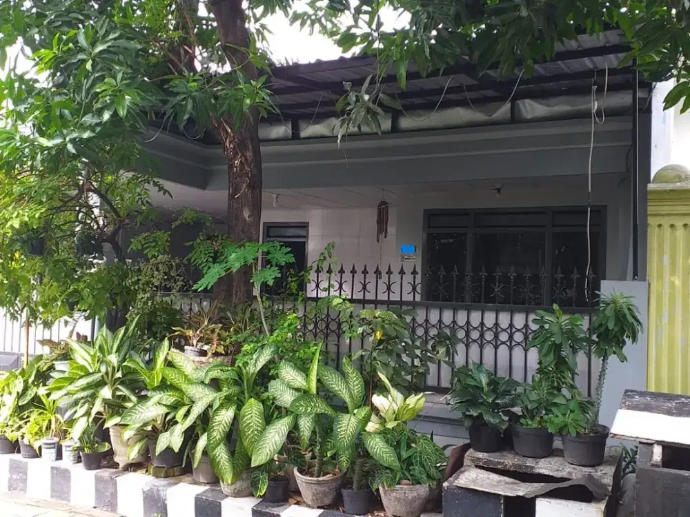 Dijual Rumah Murah Rungkut Menanggal