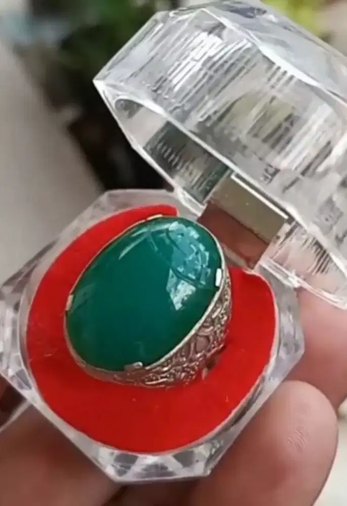 Bacan Palamea Medium