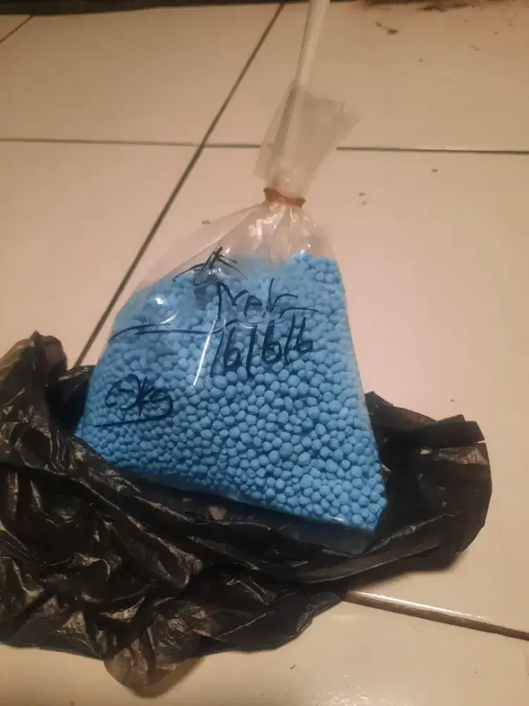 Jual Pupuk Spesial Pelebat Buah Mangga Kiojai Madu Thailand jambu Dll.